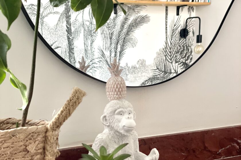 Investissir dans un studio à Toulouse